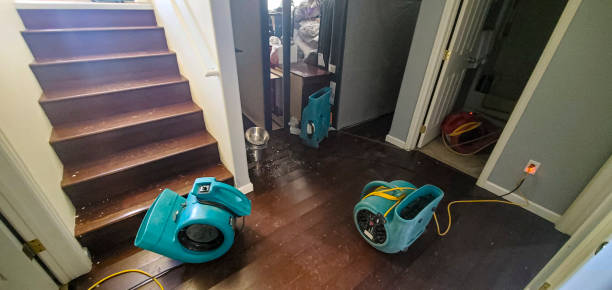 Trusted Water Damage Restoration in Half Moon, NC | Fast, Reliable, and Ready to Assist You